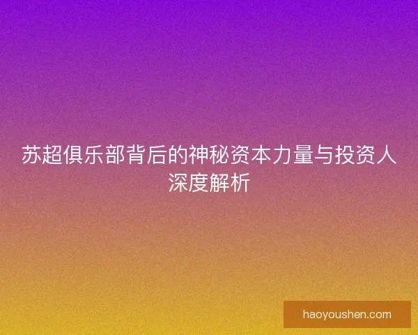 苏超俱乐部背后的神秘资本力量与投资人深度解析