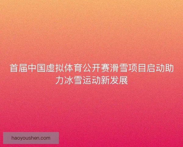 首届中国虚拟体育公开赛滑雪项目启动助力冰雪运动新发展