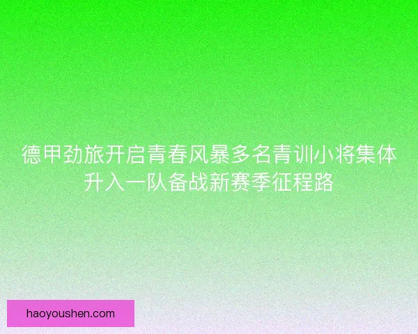 德甲劲旅开启青春风暴多名青训小将集体升入一队备战新赛季征程路
